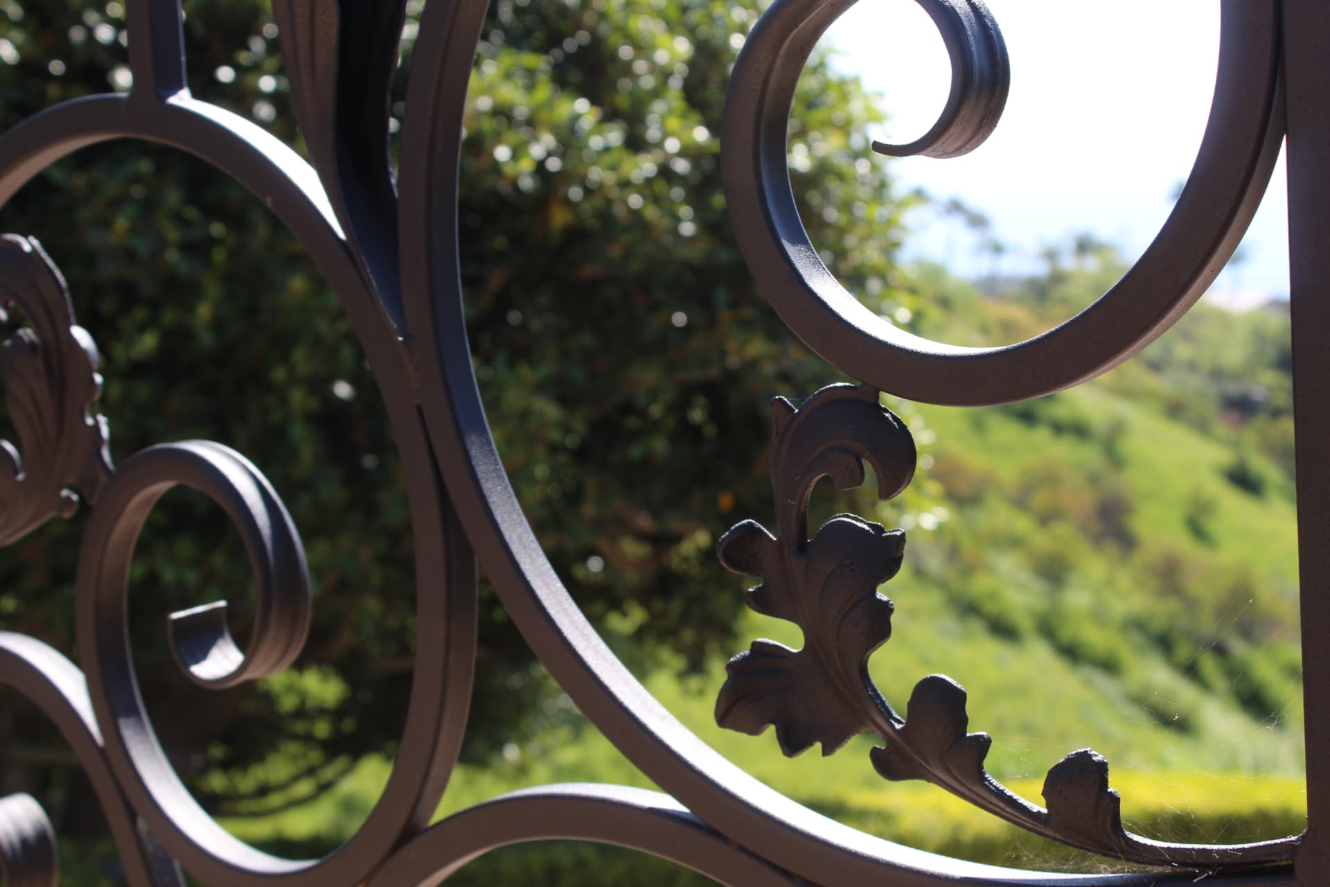 Close-up of ornate black wrought iron scrollwork on a decorative fence panel